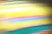 the snail rages forward