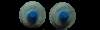 look into my eyes