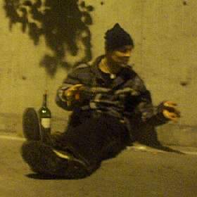 back to picture of the day