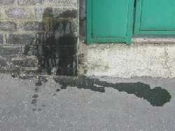 piss on the wallpaper