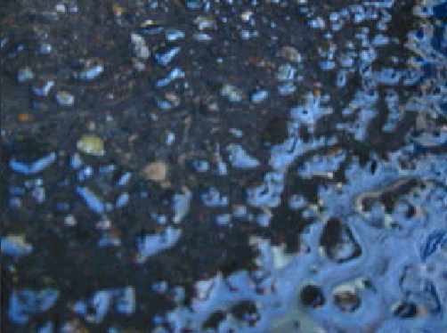 click to download film [2M]