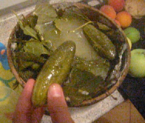 yummy mouldy pickle pot thanks a lot!