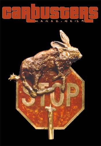 Subscribe Today and Receive Issue #29 in January 2007