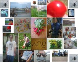 expand your horizons