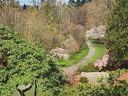 arboretum
