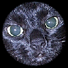 in the eye
                          of the beholder